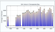 Bay Chart