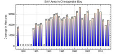 Bay Chart