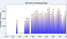 Bay Chart