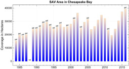 Bay Chart