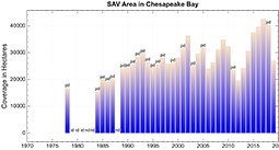 Bay Chart