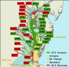 Segment Comparision