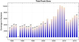 Tidal Fresh Salinity Zone Chart