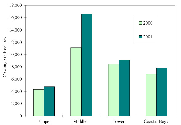 Hectares of SAV in 2001 by Zone